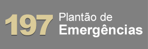 Plantão de Emergências 197