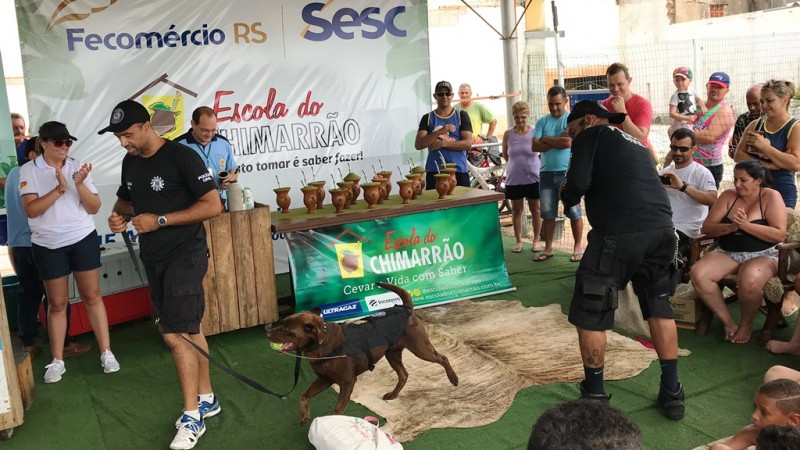 Apresentação cães Denarc