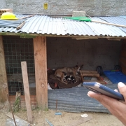 WhatsApp Image 2024 01 05 at 14 20 46 (1)