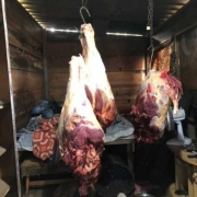 carne 1