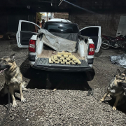 WhatsApp Image 2024 05 22 at 05 12 41