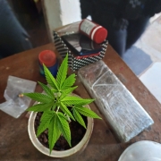 WhatsApp Image 2024 12 17 at 10 03 56