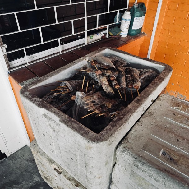 Carne acondicionada em caixa térmica branca junto a muro