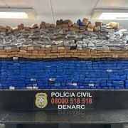 Apreensão