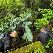 WhatsApp Image 2025 09 24 at 08 25 53