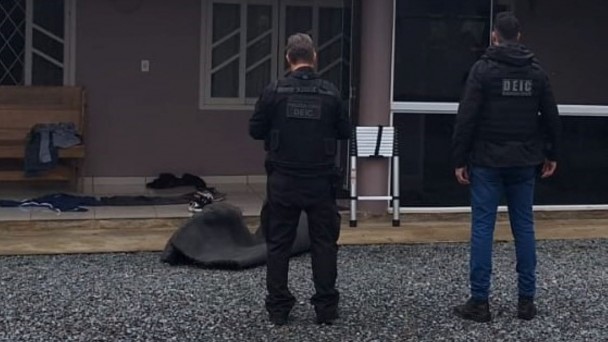 WhatsApp Image 2025 11 04 at 08 10 01