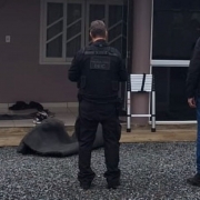 WhatsApp Image 2025 11 04 at 08 10 01