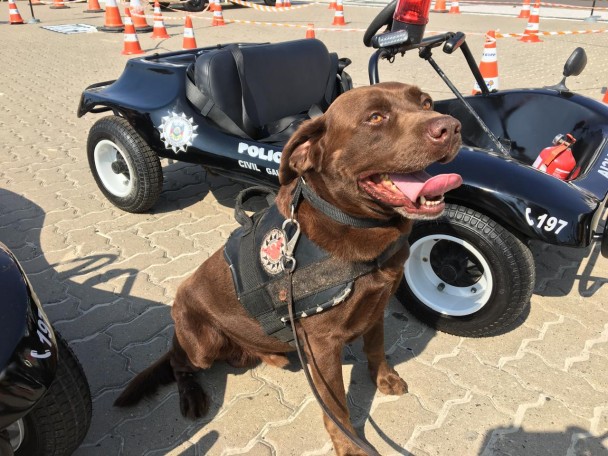 WhatsApp Image 2025 11 04 at 16 13 27 (1)