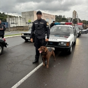 WhatsApp Image 2025 11 04 at 16 13 06