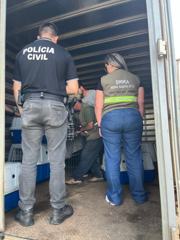 WhatsApp Image 2025 11 14 at 16 01 35