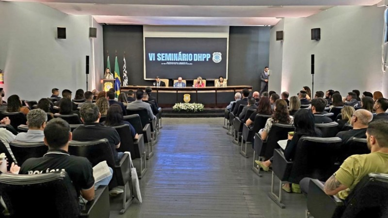 VI Seminário do DHPP
