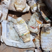 WhatsApp Image 2025 12 01 at 16 35 14 (1)