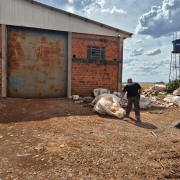 WhatsApp Image 2025 12 01 at 16 35 12