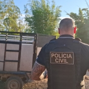 WhatsApp Image 2026 01 08 at 09 11 34