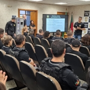 WhatsApp Image 2026 01 08 at 09 13 49