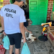 WhatsApp Image 2026 01 15 at 18 07 56 (1)