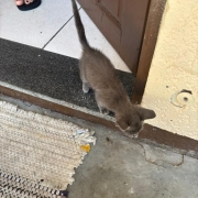 WhatsApp Image 2026 01 15 at 18 06 59 (3)