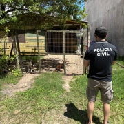 WhatsApp Image 2026 01 15 at 18 06 58 (1)