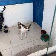 WhatsApp Image 2026 01 15 at 18 04 44