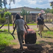 WhatsApp Image 2026 01 15 at 18 04 40