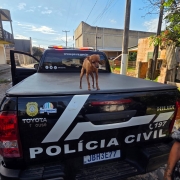 WhatsApp Image 2026 01 15 at 18 04 37 (1)