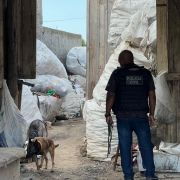 WhatsApp Image 2026 01 17 at 11 32 18 (2)