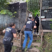 WhatsApp Image 2026 01 20 at 08 20 49