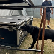 WhatsApp Image 2026 01 31 at 14 07 18