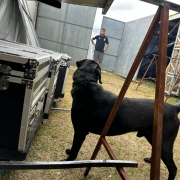 WhatsApp Image 2026 01 31 at 14 05 50