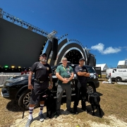 WhatsApp Image 2026 01 30 at 15 47 58 (1)