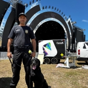 WhatsApp Image 2026 01 30 at 15 47 57 (1)