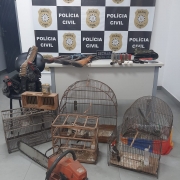 WhatsApp Image 2026 02 06 at 11 05 33 (2)