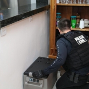 WhatsApp Image 2026 02 11 at 06 24 57