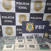 Tabletes brancos e esverdeados dispostos em cima de mesa com banner da Pol&iacute;cia Civil ao fundo e placas da Pol&iacute;cia Civil e PRF