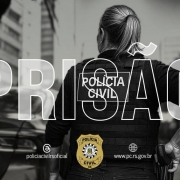 Pol&iacute;cia Civil