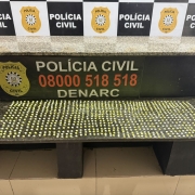 Milhares de comprimidos de ecstasy espalhados em bancada, tendo ao fundo a escrita: Pol&iacute;cia Civil, 0800 518 518, Denarc e bras&atilde;o da Pol&iacute;cia Civil
