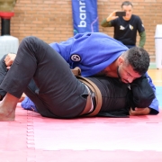 IMG 0017