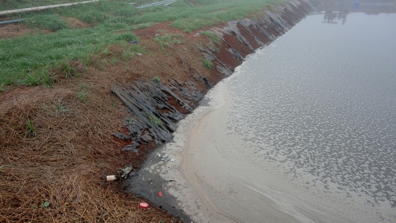 20120726175514-cod19165.jpg