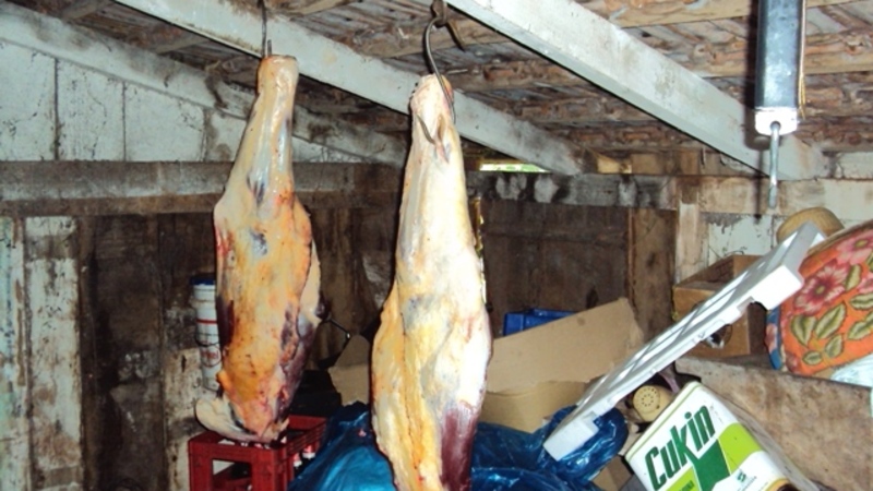 20131206181213carne-impropria-para-consumo.jpg