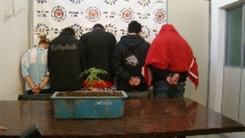 noticia3707.jpg